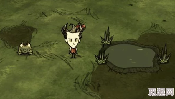 2025年饥荒游戏青蛙雨来袭,高效应对策略与生存技巧 2025年饥荒游戏青蛙雨来袭,高效应对策略与生存技巧